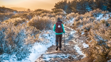 pilgrim in winter