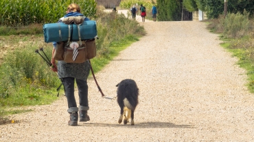 San Justo de la Vega, Castile and Leon, Spain - September 23, 2014: Camino pilgrim with his dog near Astorga