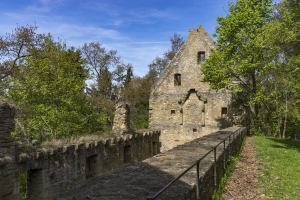 Ruins of Monastery Disibodenberg.