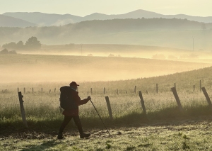 Bill Haywood walking through the Camino Courtesy The Way-My Way