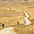 Pilgrim walking the Camino de Santiago through Castile