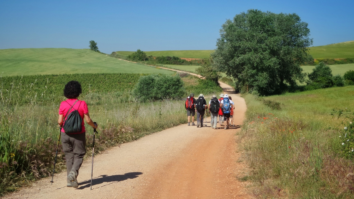 peregrinos caminando por el Camino de Santiago en España