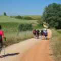 peregrinos caminando por el Camino de Santiago en España