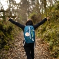 pilgrimage with five senses