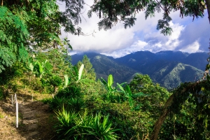 Blue Mountains of Jamaica, Caribbean, Central America