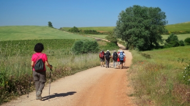peregrinos caminando por el Camino de Santiago en España