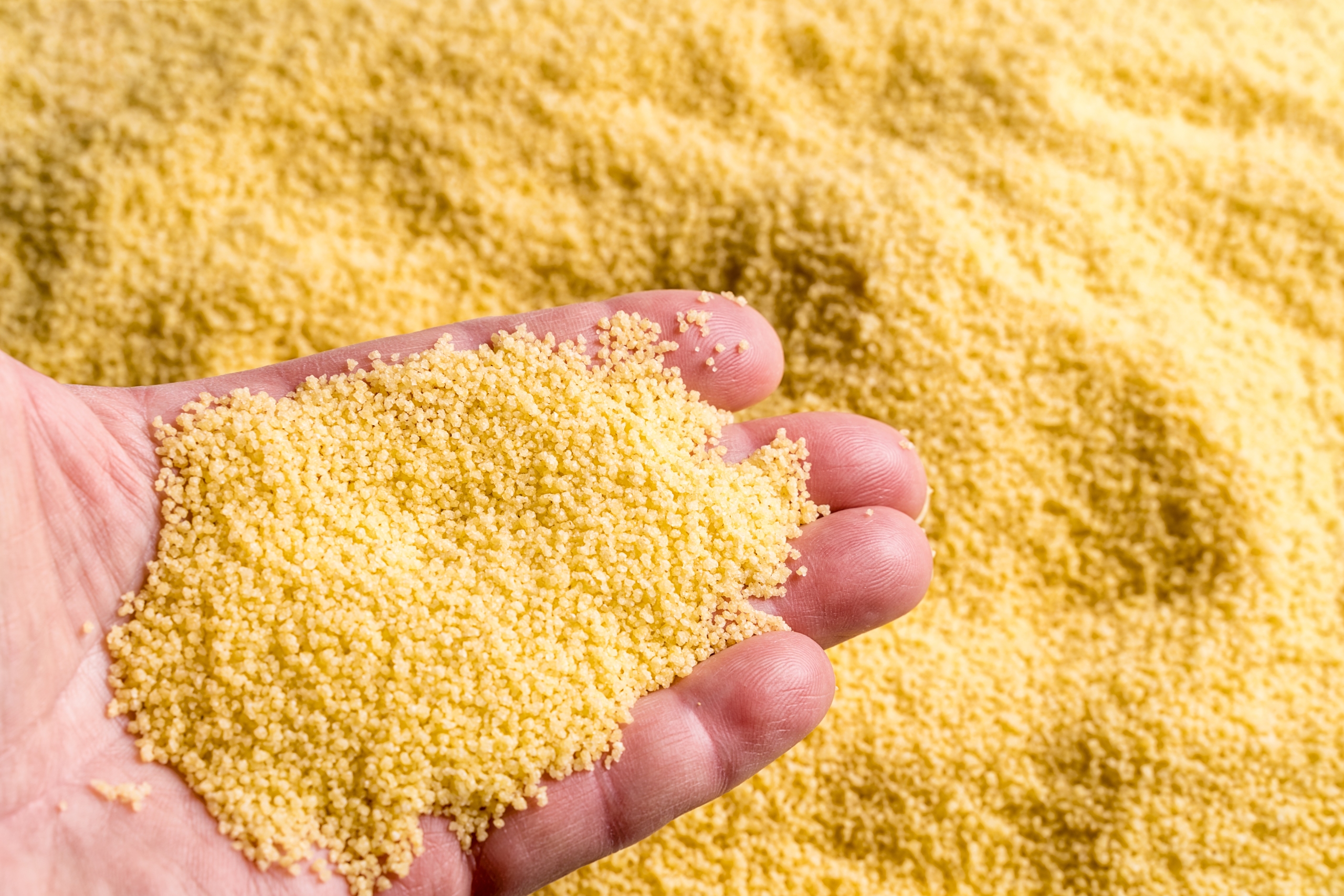 granos de cuscus