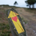 A sign on the old route from Borres via Hospitales to Berducedo, Camino Primitivo