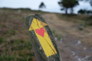 A sign on the old route from Borres via Hospitales to Berducedo, Camino Primitivo