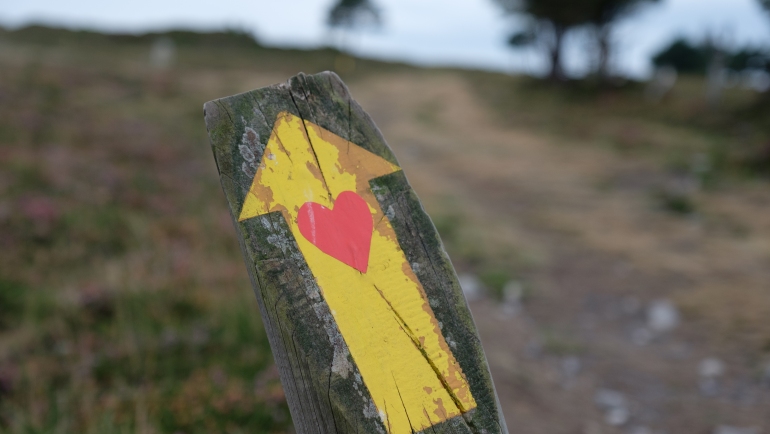 A sign on the old route from Borres via Hospitales to Berducedo, Camino Primitivo