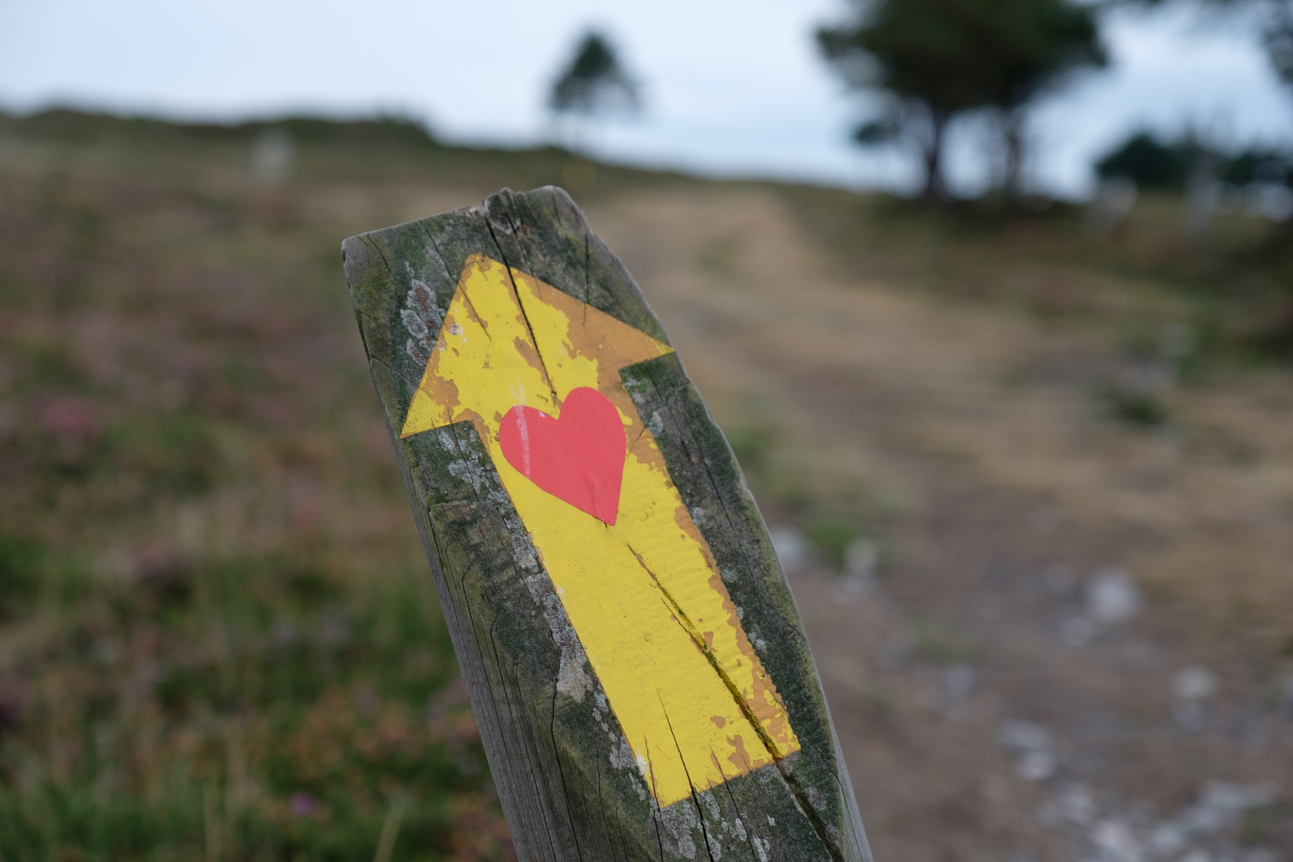 A sign on the old route from Borres via Hospitales to Berducedo, Camino Primitivo