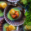 Zamburiñas en salsa verde