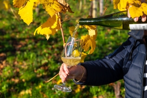 txakoli
