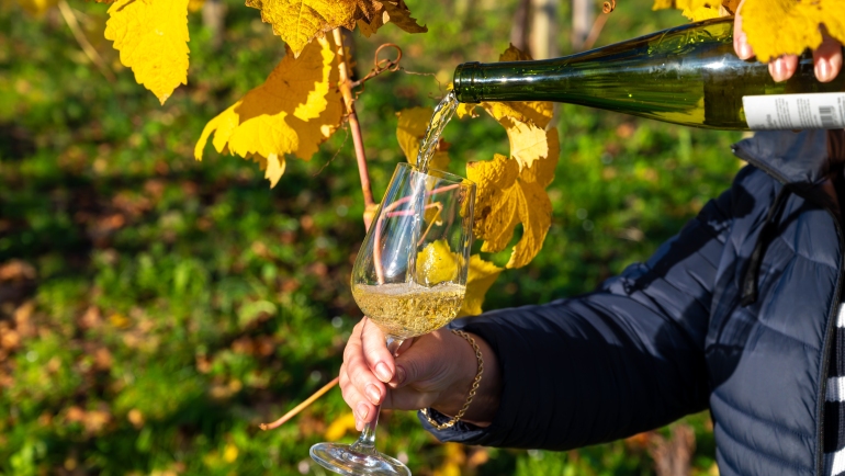txakoli