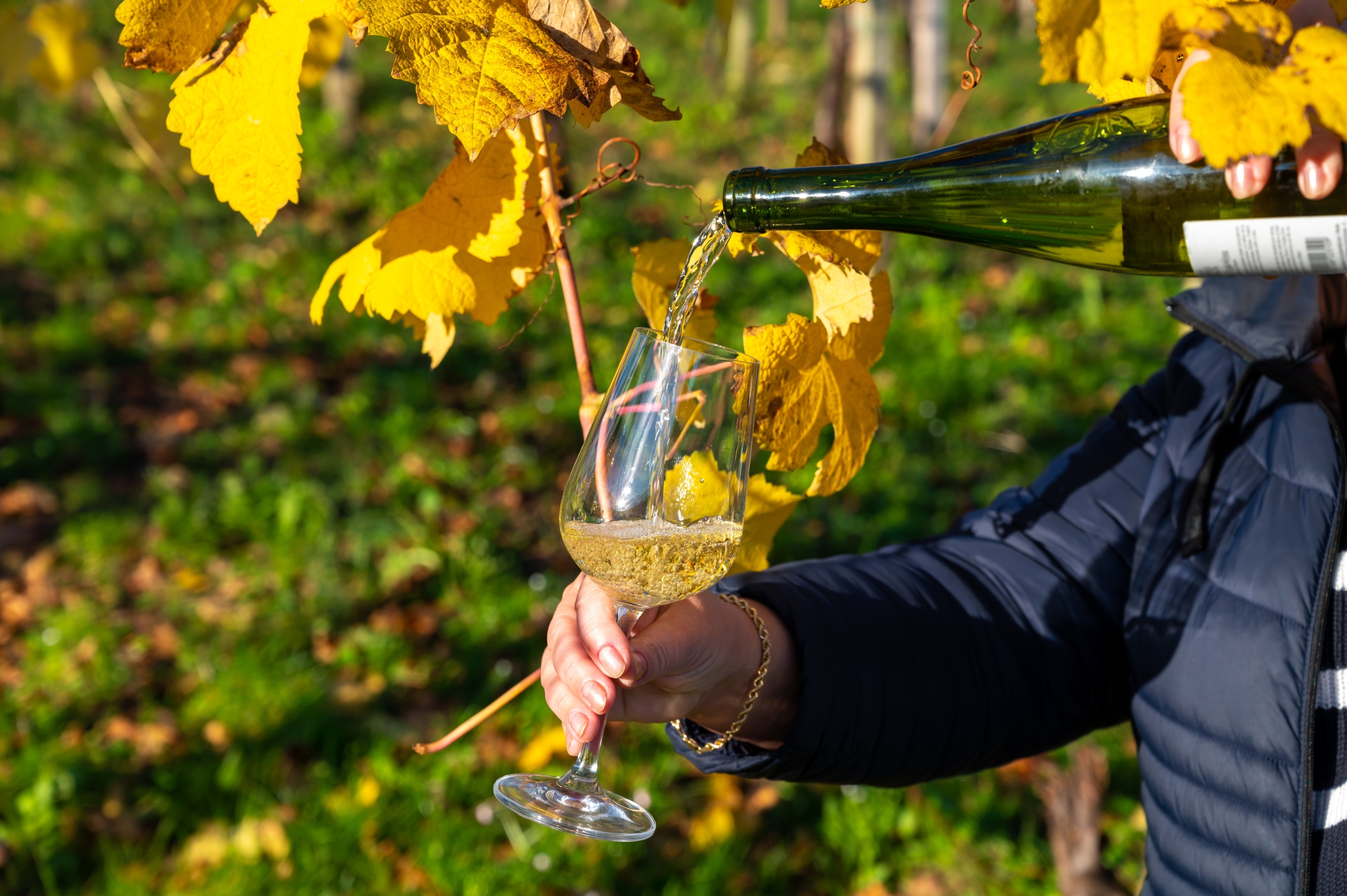 txakoli