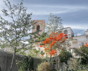 Chiesa san Loenardo abbate san giovanni rotondo
