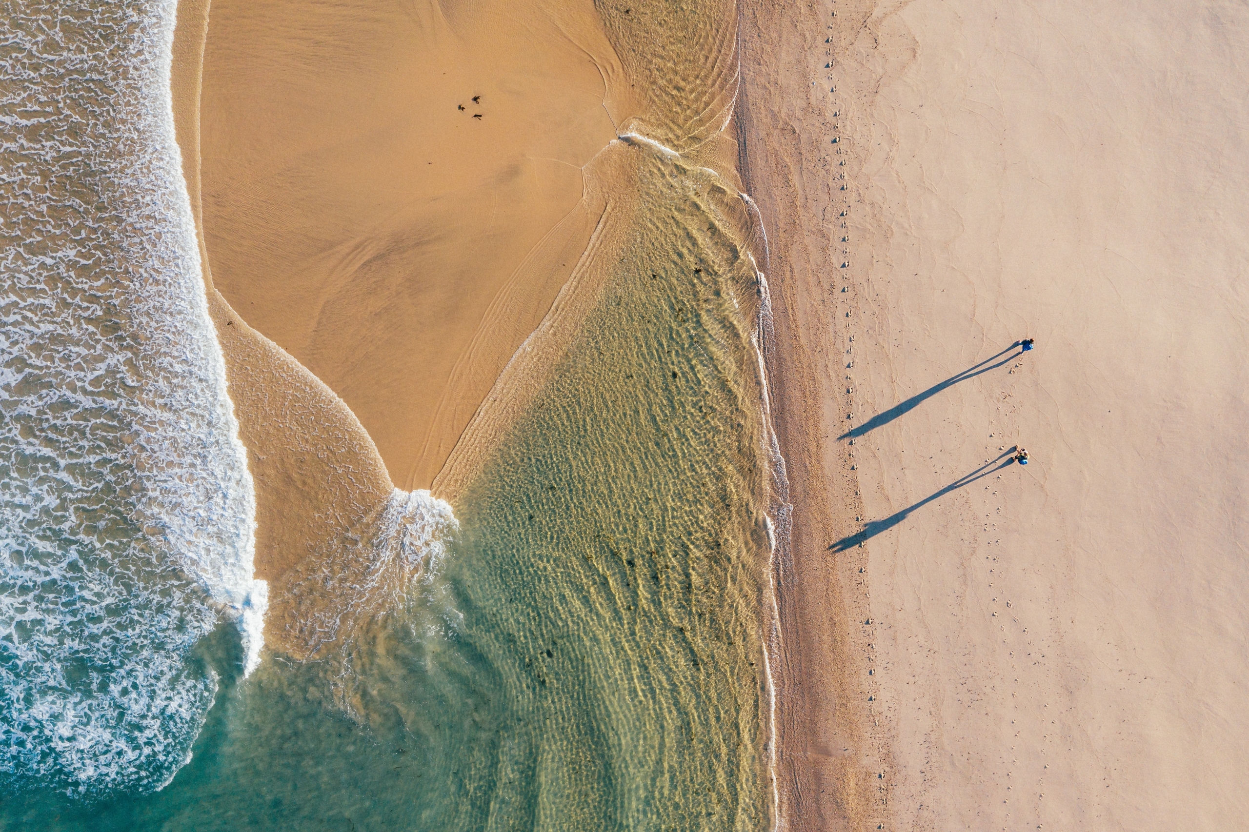 Top-down view of couple walking along sandy beach washed by Atlantic Ocean waves in Portugal casting long shadows in low sunrise light. Shot during the Camino Portuguese