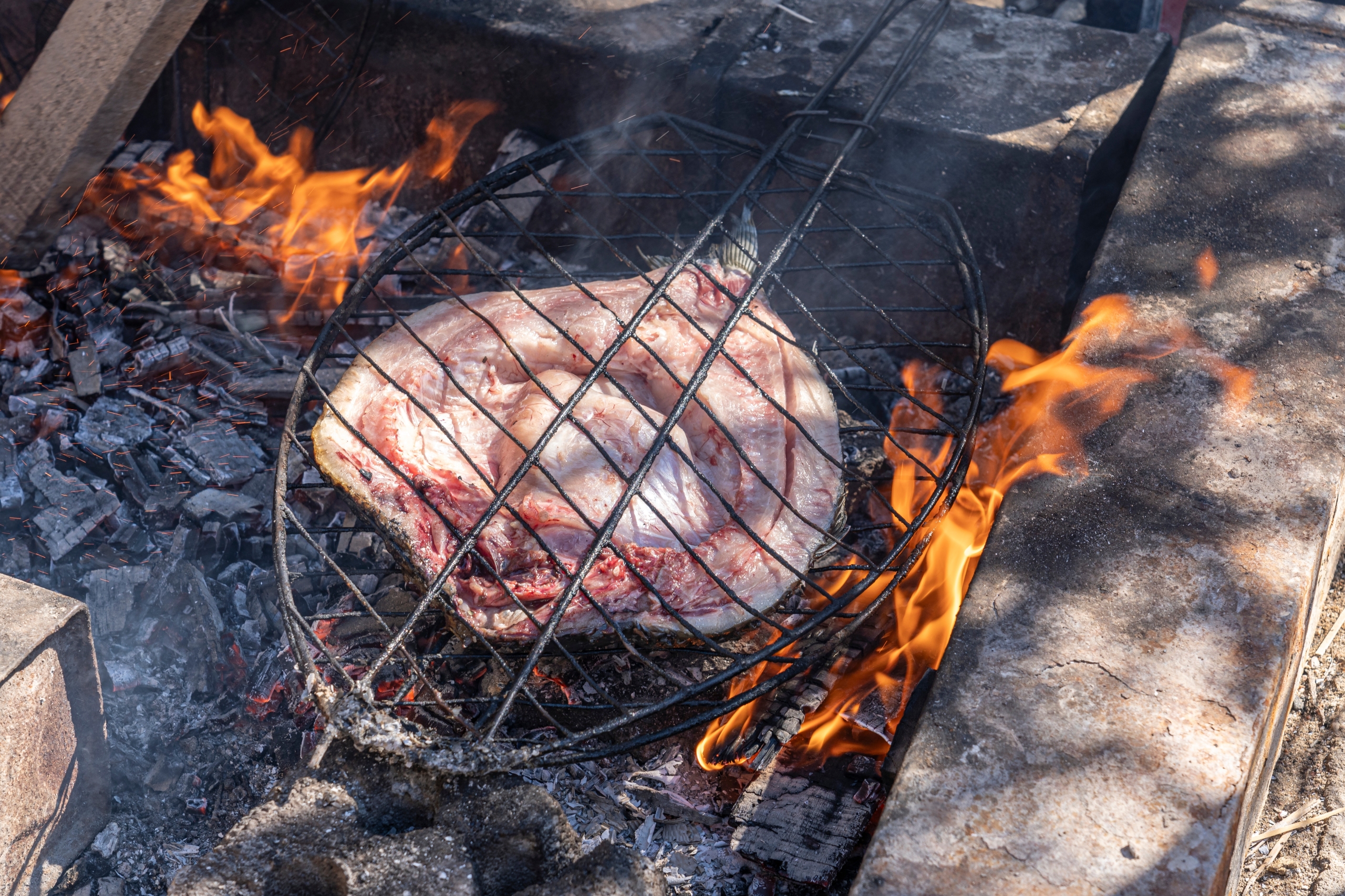 Preparing and grilling Masgouf over an open fire in the southern marshes of Iraq