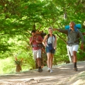 hike colours