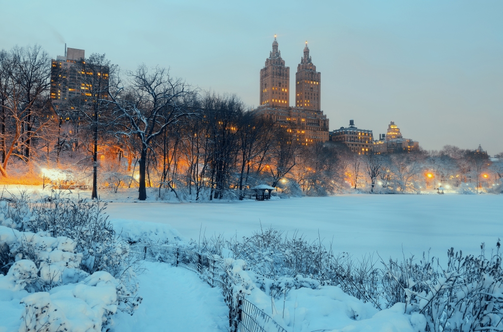 Central Park in Winter