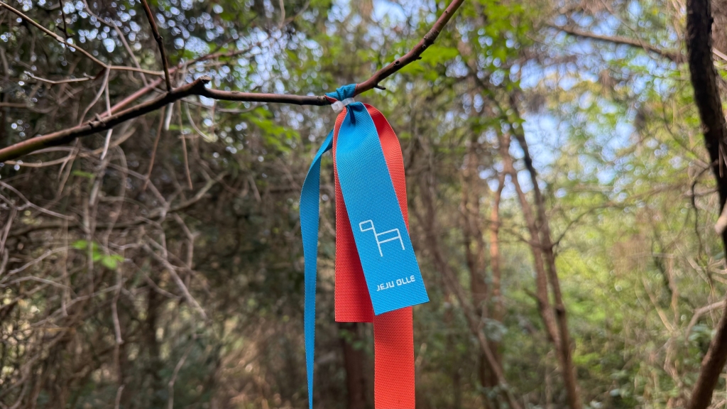 Jeju Olle Trail ribbon at Gotjawal. Gotjawal is a Jeju-language term for a dense and wild forest