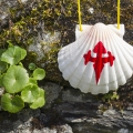 concha de peregrino en el Camino de Santiago