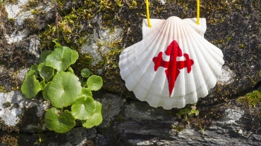 concha de peregrino en el Camino de Santiago
