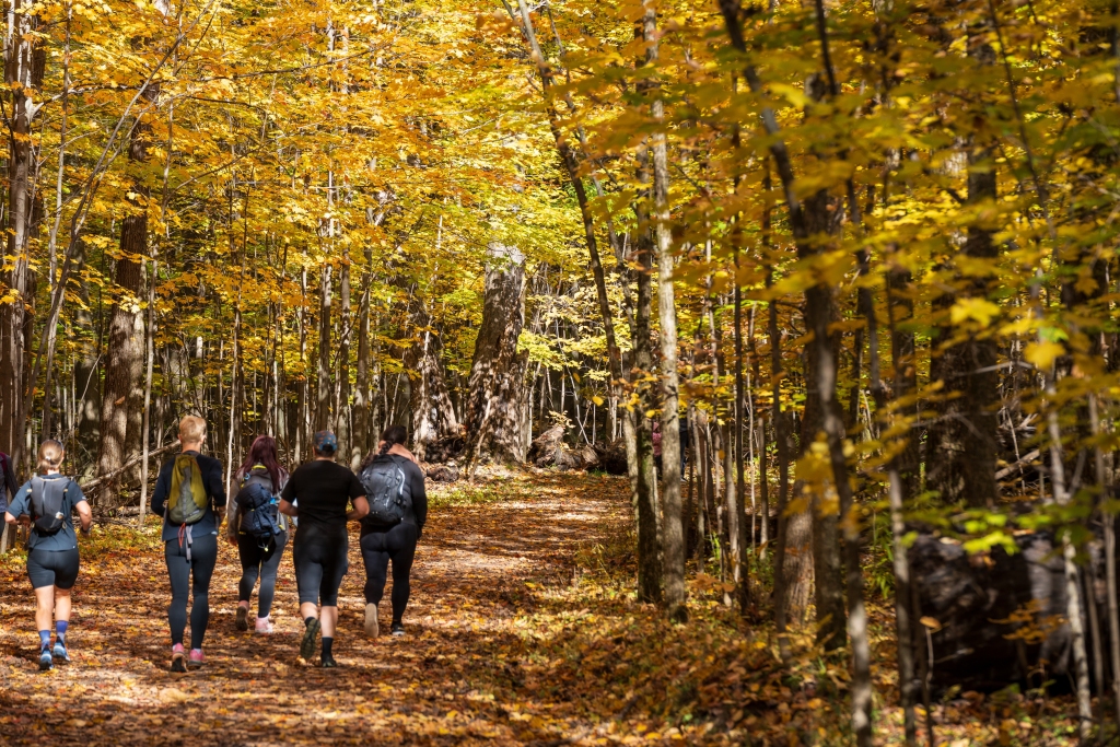 Hikers in Saint-Bruno-de-Montarville, Quebec, Canada