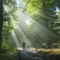 A philosophical reflection on the Camino de Santiago