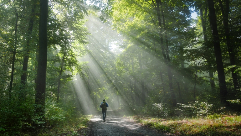 A philosophical reflection on the Camino de Santiago