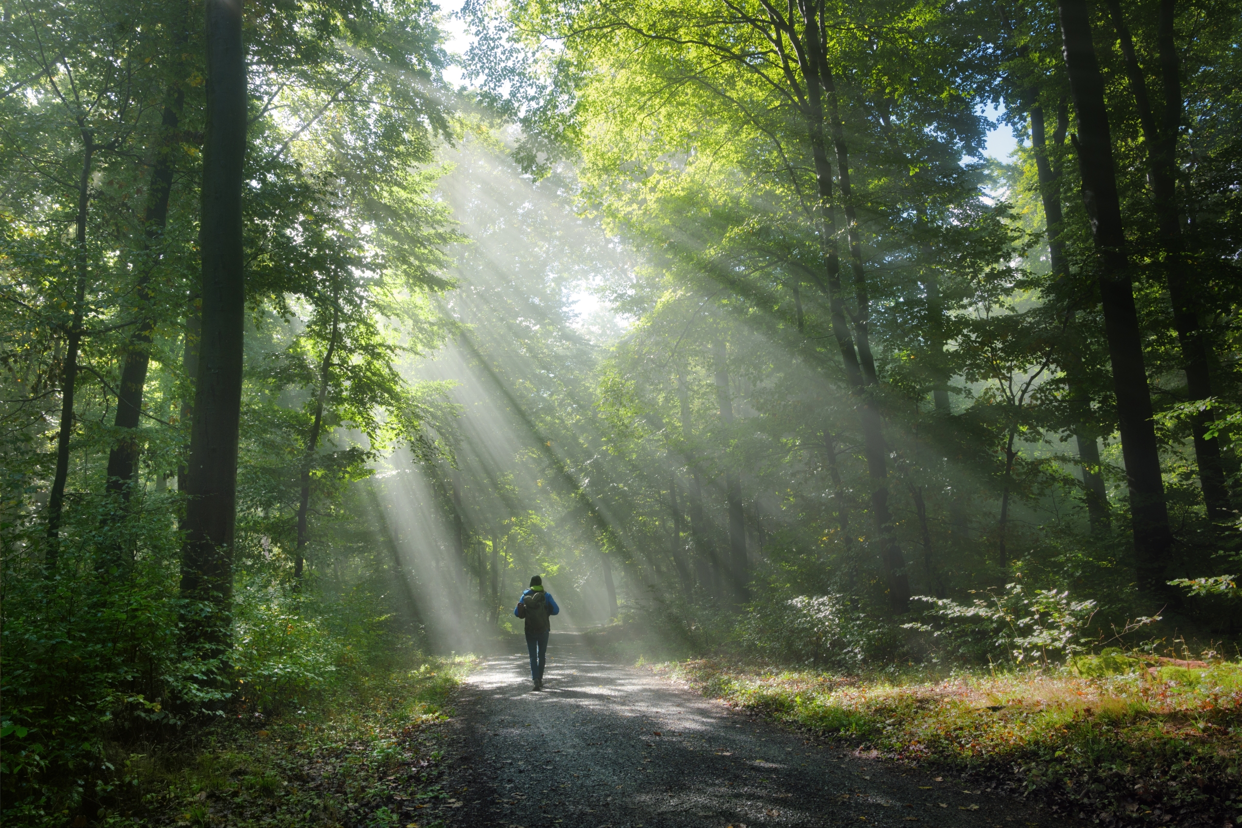 A philosophical reflection on the Camino de Santiago