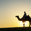 Silhouette,Of,Indian,Man,And,Camel,During,Sunrise,At,Thar