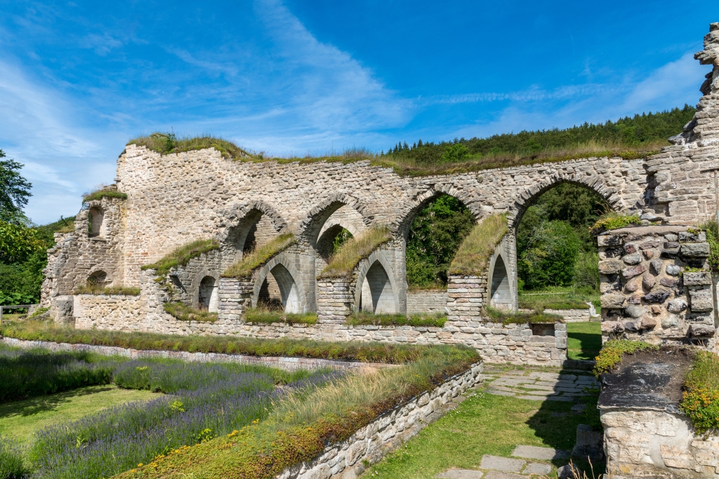 Ruins of the medieval abbey of Alvastra, Sweden, where Saint Bridget lived with her husband for a few months and which can be visited today when walking the Birgittaleden.