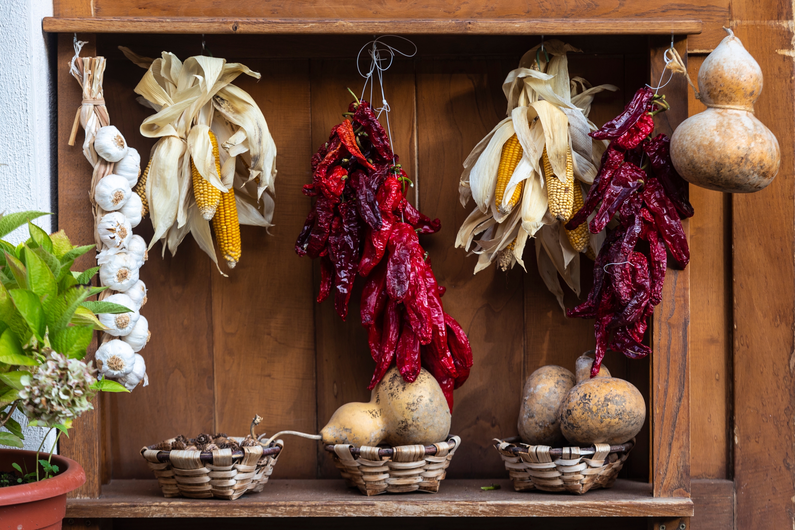 Typical food on the Camino de Santiago, in Los Arcos (Spain)