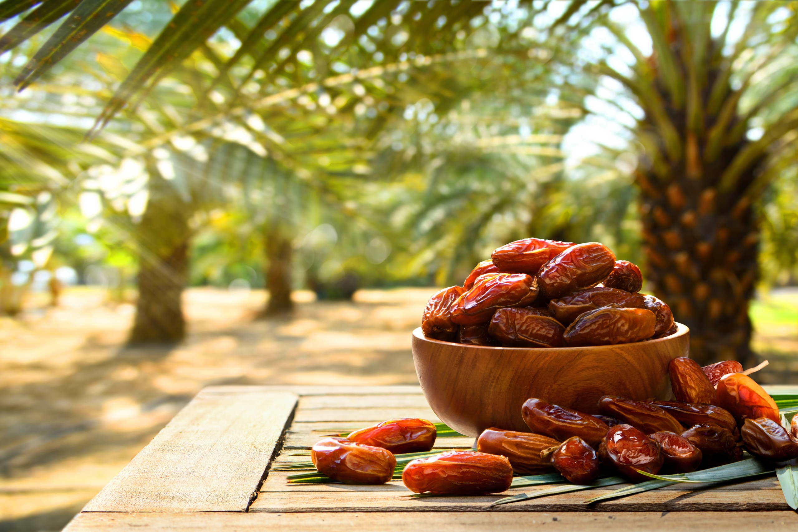 Dried date fruits with a date palm background.
