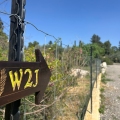 The yellow arrow typical of the Way to Jerusalem, with the inscription W2J