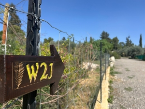 The yellow arrow typical of the Way to Jerusalem, with the inscription W2J
