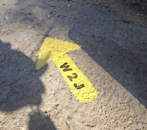 The yellow arrow typical of the Way to Jerusalem, with the inscription W2J