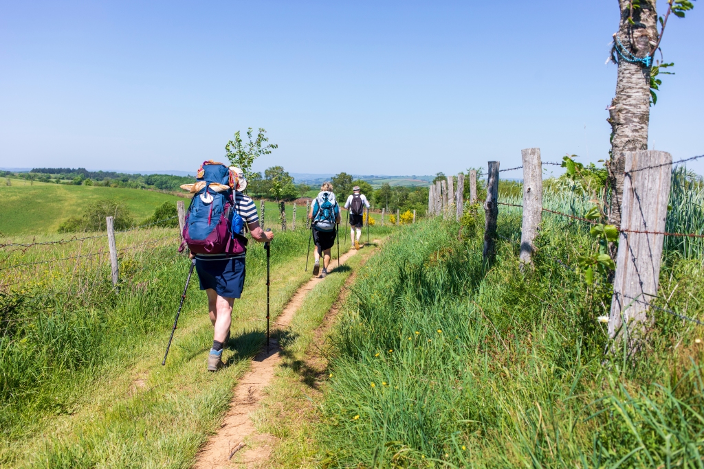 Camino de Santiago