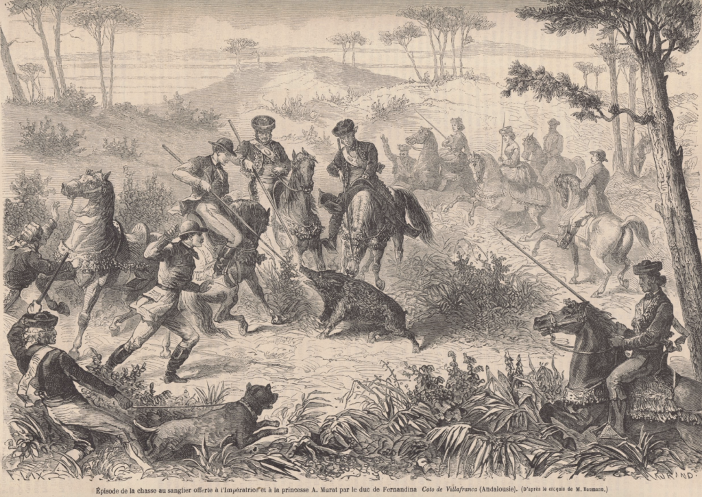 The Duke of Fernandina spears a wild boar in Doñana, in the presence of Empress Eugénie de Montijo. Engraving by Charles Maurand for Le Monde Illustré (1863)