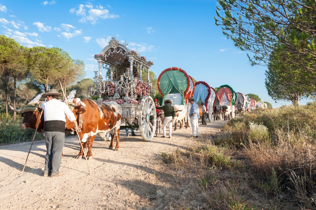 El Rocio pilgrimage returns to Seville through a dusty path from Hinojos.