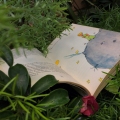 Open book “Little Prince” by Antoine De Saint-Exupéry