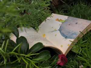 Open book “Little Prince” by Antoine De Saint-Exupéry