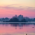 Parque nacional de Doñana