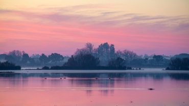 Parque nacional de Doñana