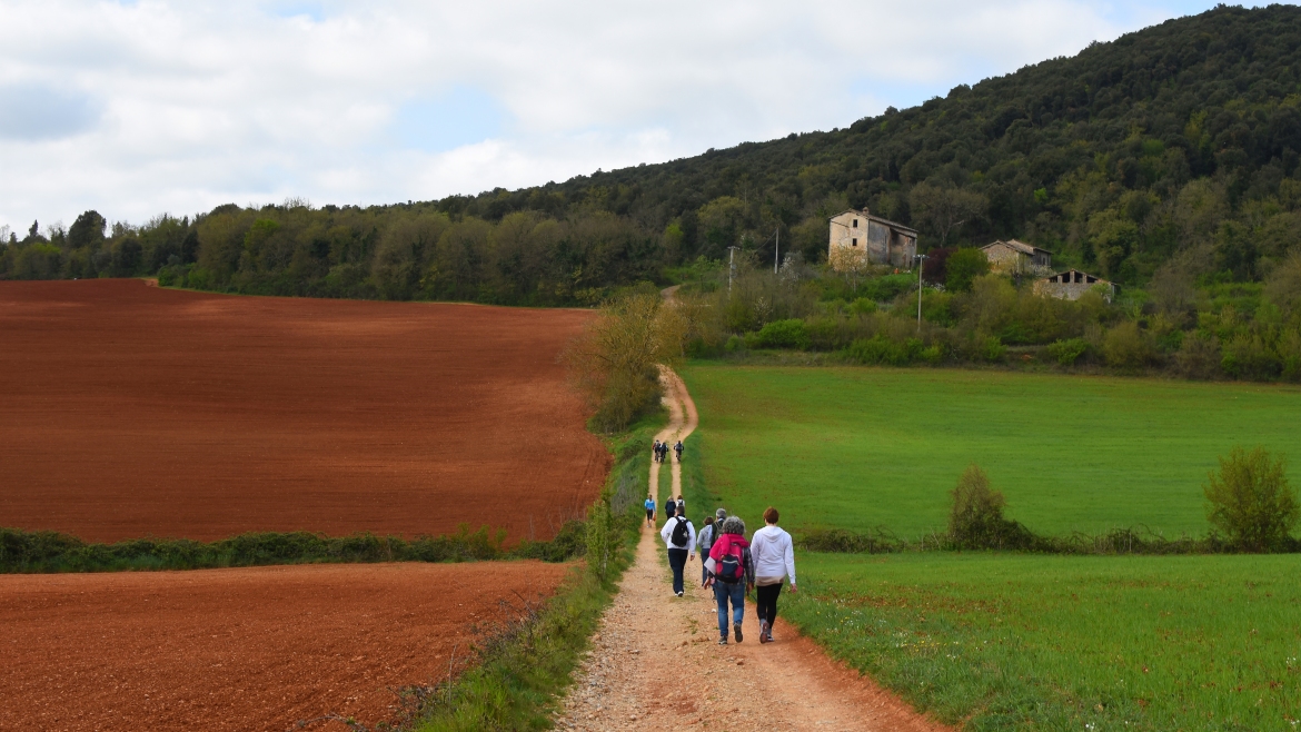 people walking on via Francigena