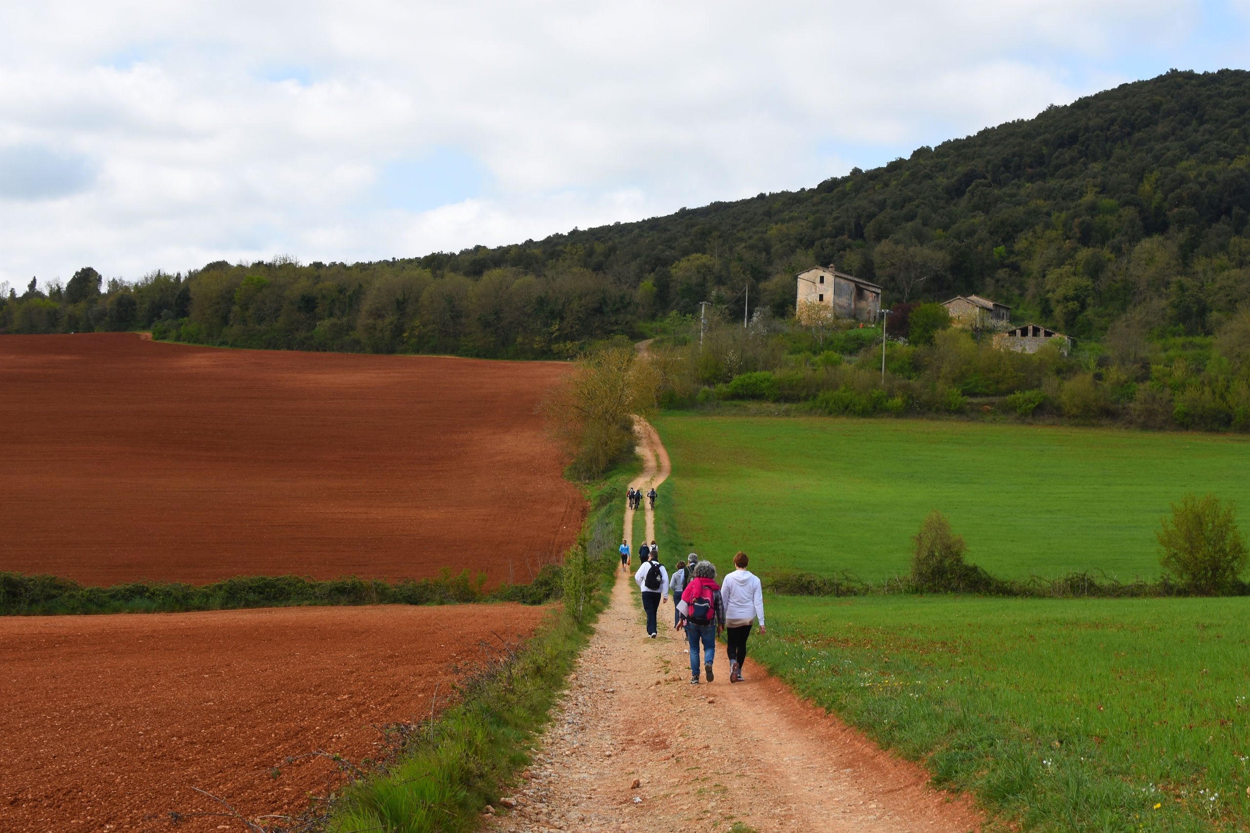 people walking on via Francigena