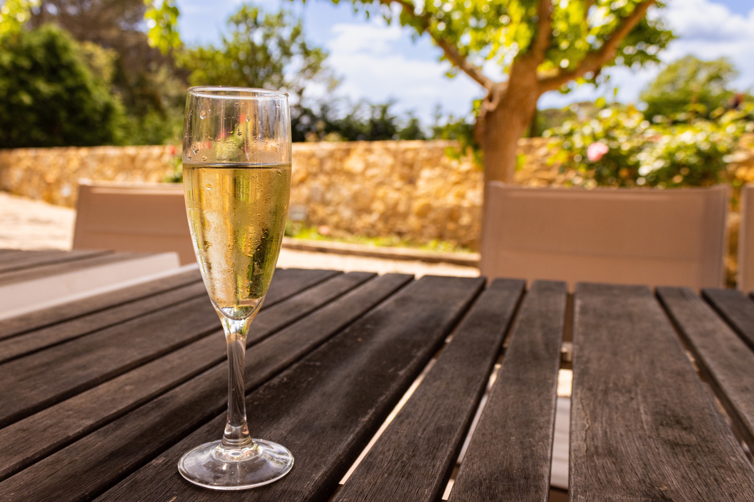 cava catalán