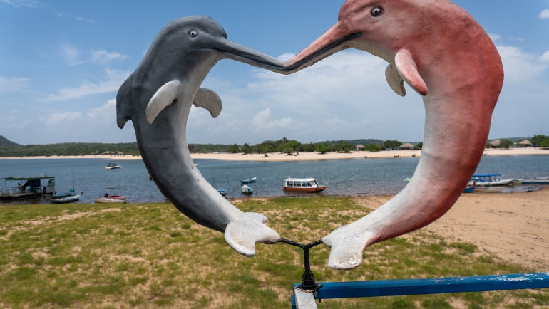 Delfines azules y rosados en Ilha do Amor
