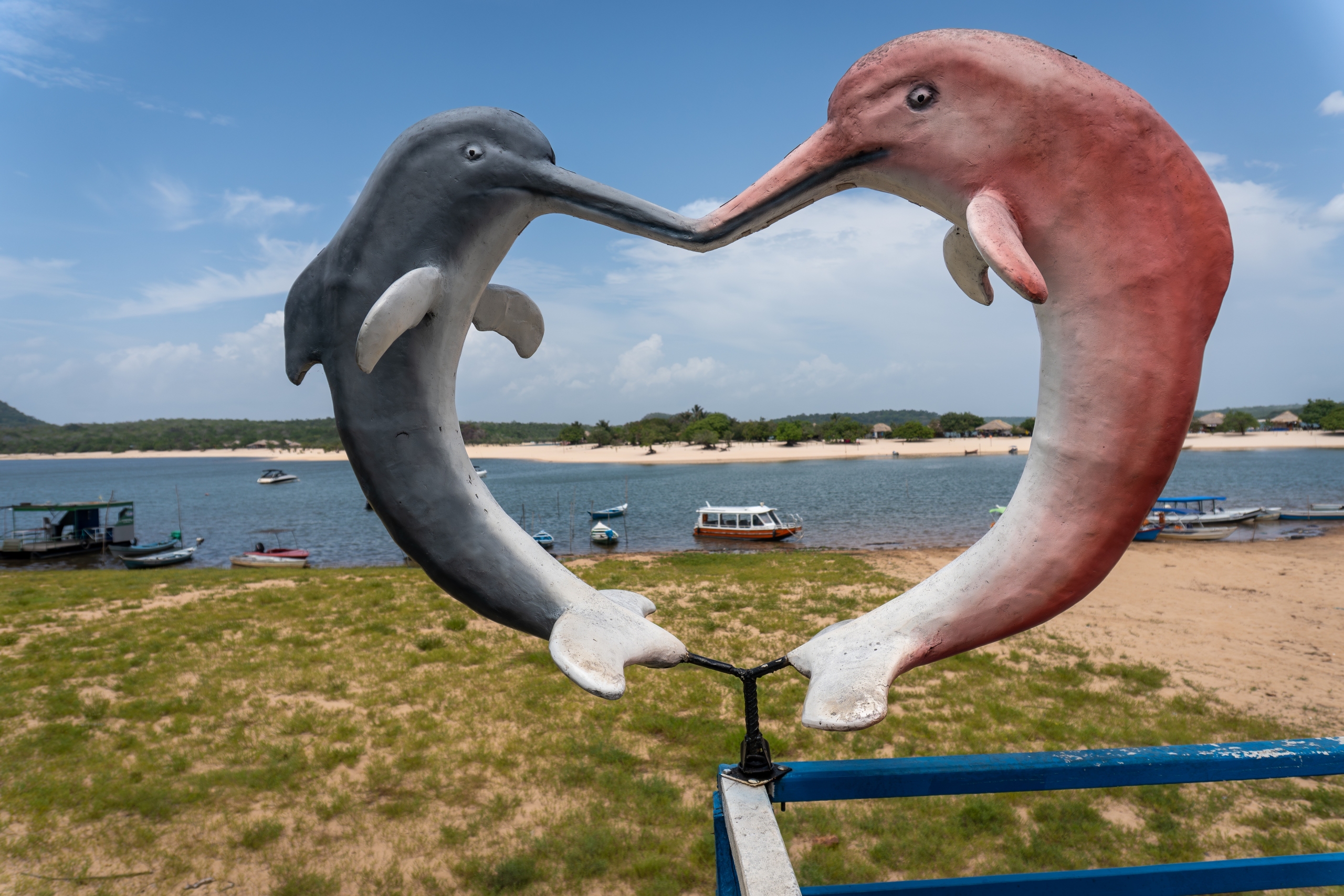 Delfines azules y rosados en Ilha do Amor
